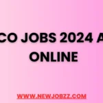 MEPCO Jobs 2024 Apply Online